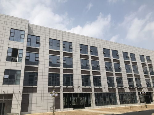 裝配式預(yù)制卡槽陶瓷板保溫一體板 協(xié)美醫(yī)院項(xiàng)目中的卓越應(yīng)用與專(zhuān)業(yè)供應(yīng)